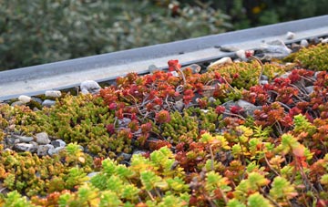 the cost of Upper Welson green roof installation