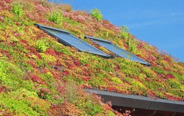 Upper Welson living roof systems